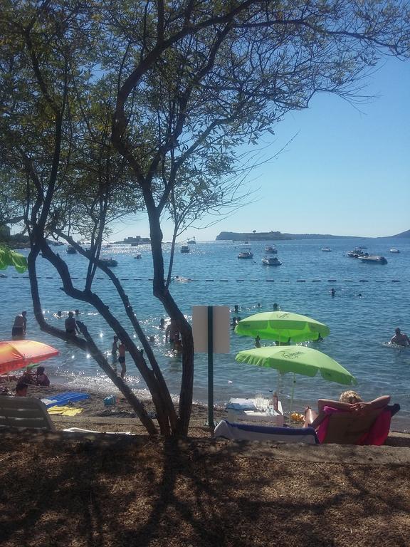 Apartmani Seka Herceg Novi Exteriér fotografie