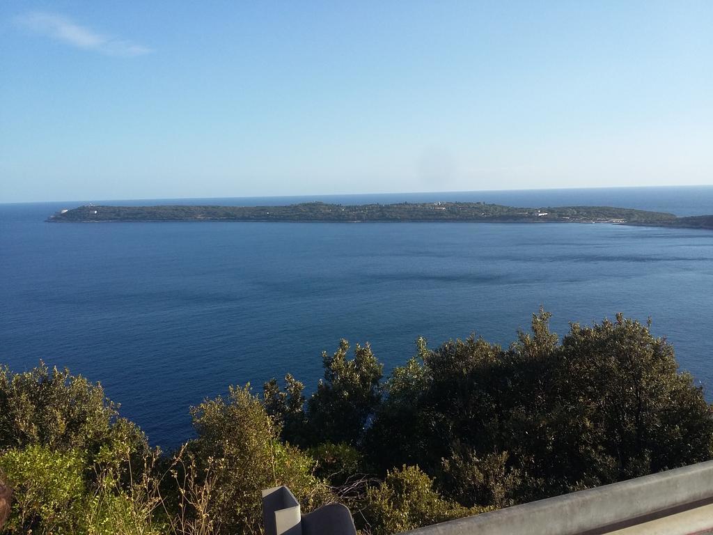 Apartmani Seka Herceg Novi Exteriér fotografie